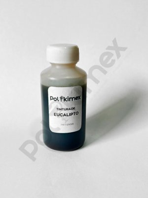 Eucalipto